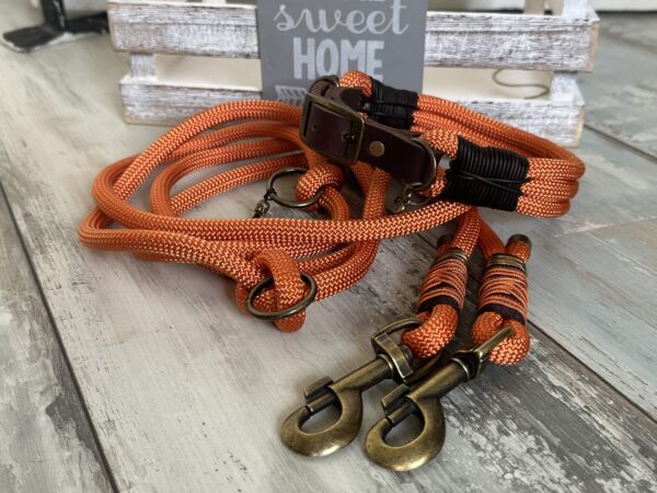 Tauleine und Halsband Foxy – Bild 14