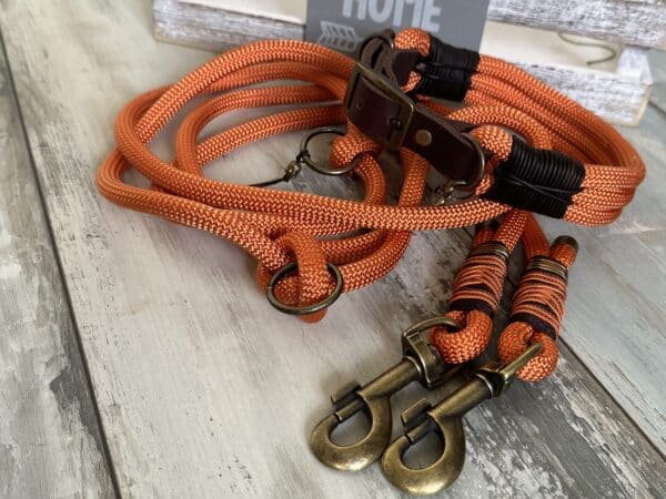 Tauleine und Halsband Foxy – Bild 3