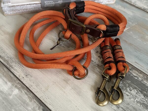 Tauleine und Halsband Foxy – Bild 5