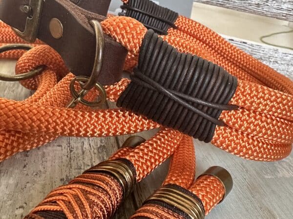 Tauleine und Halsband Foxy – Bild 4