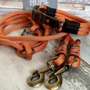 Tauleine und Halsband Foxy