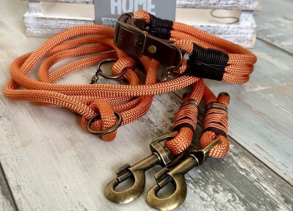 Tauleine und Halsband Foxy