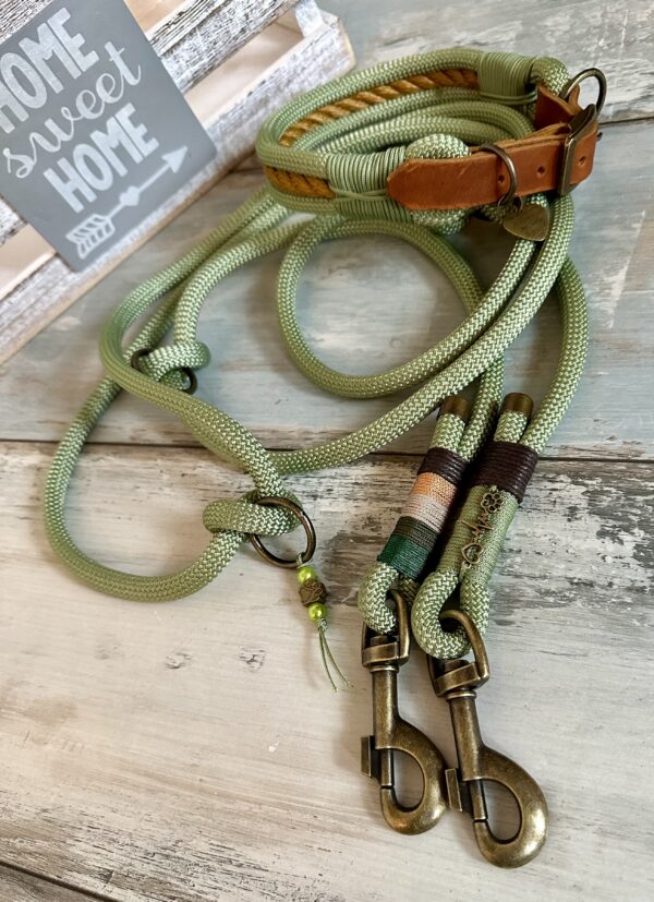 Tauleine und Halsband Set für große Hunde – Bild 6