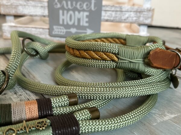 Tauleine und Halsband Set für große Hunde – Bild 8