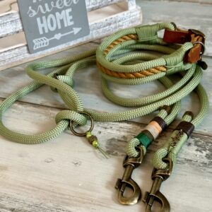 Tauleine und Halsband Set für große Hunde