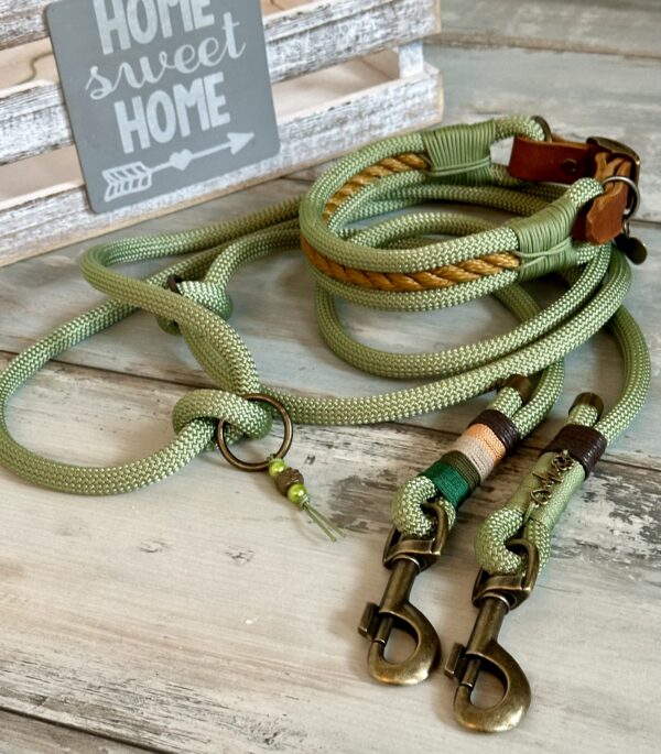 Tauleine und Halsband Set für große Hunde