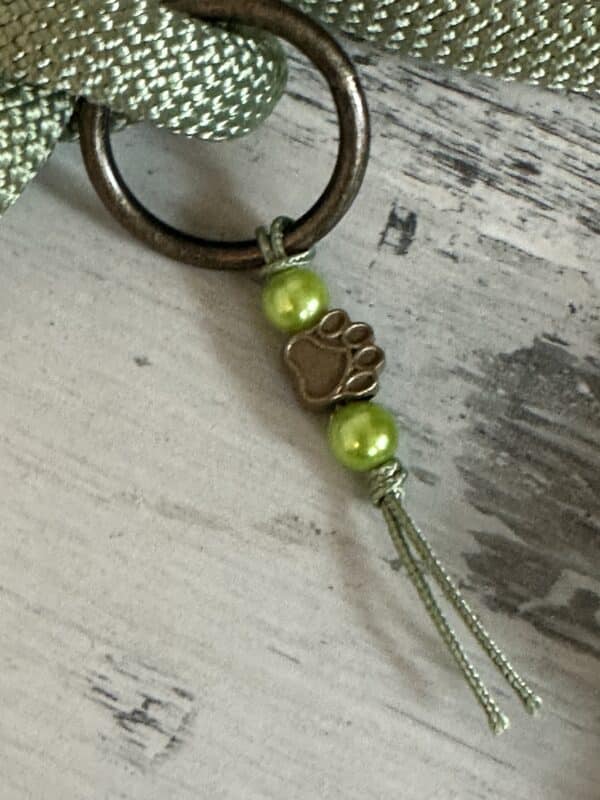 Tauleine und Halsband Set für große Hunde – Bild 3