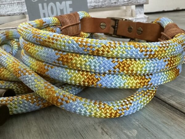Tauleine und Haldband Set NordlichtSonne von NordlichtDogs – Bild 6