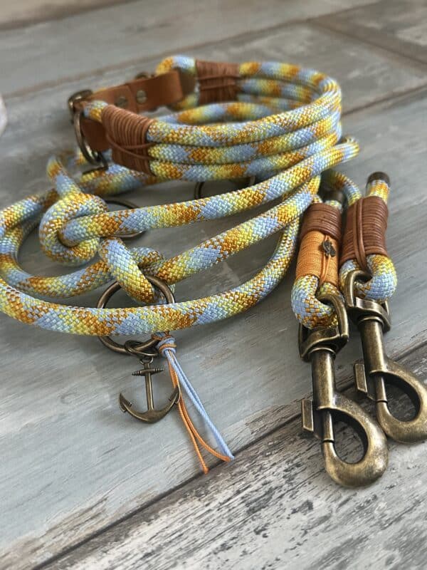 Tauleine und Haldband Set NordlichtSonne von NordlichtDogs – Bild 2