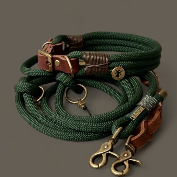 Tauleine und Halsband Set Forrest