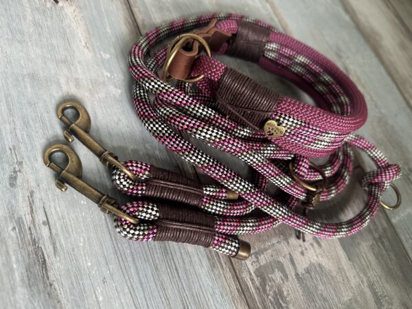 Zugstopphalsband Tauleinen Set – Bild 4