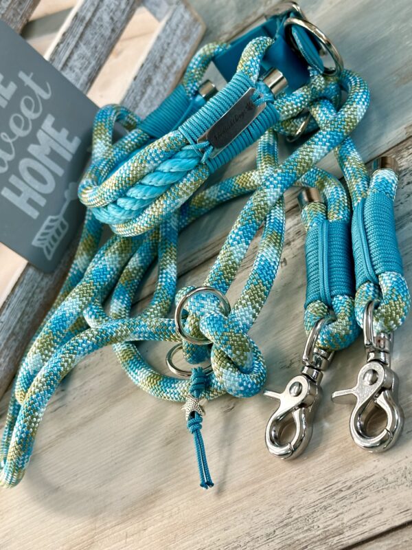 Tauleine und Halsband Set „Frozen“ – Bild 11