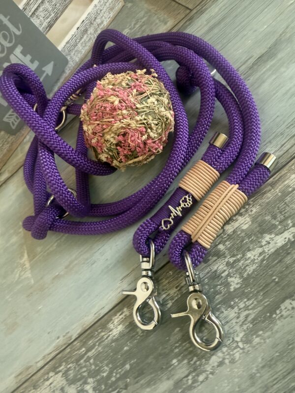 Hundeleine Tauhalsband Lila – Bild 11
