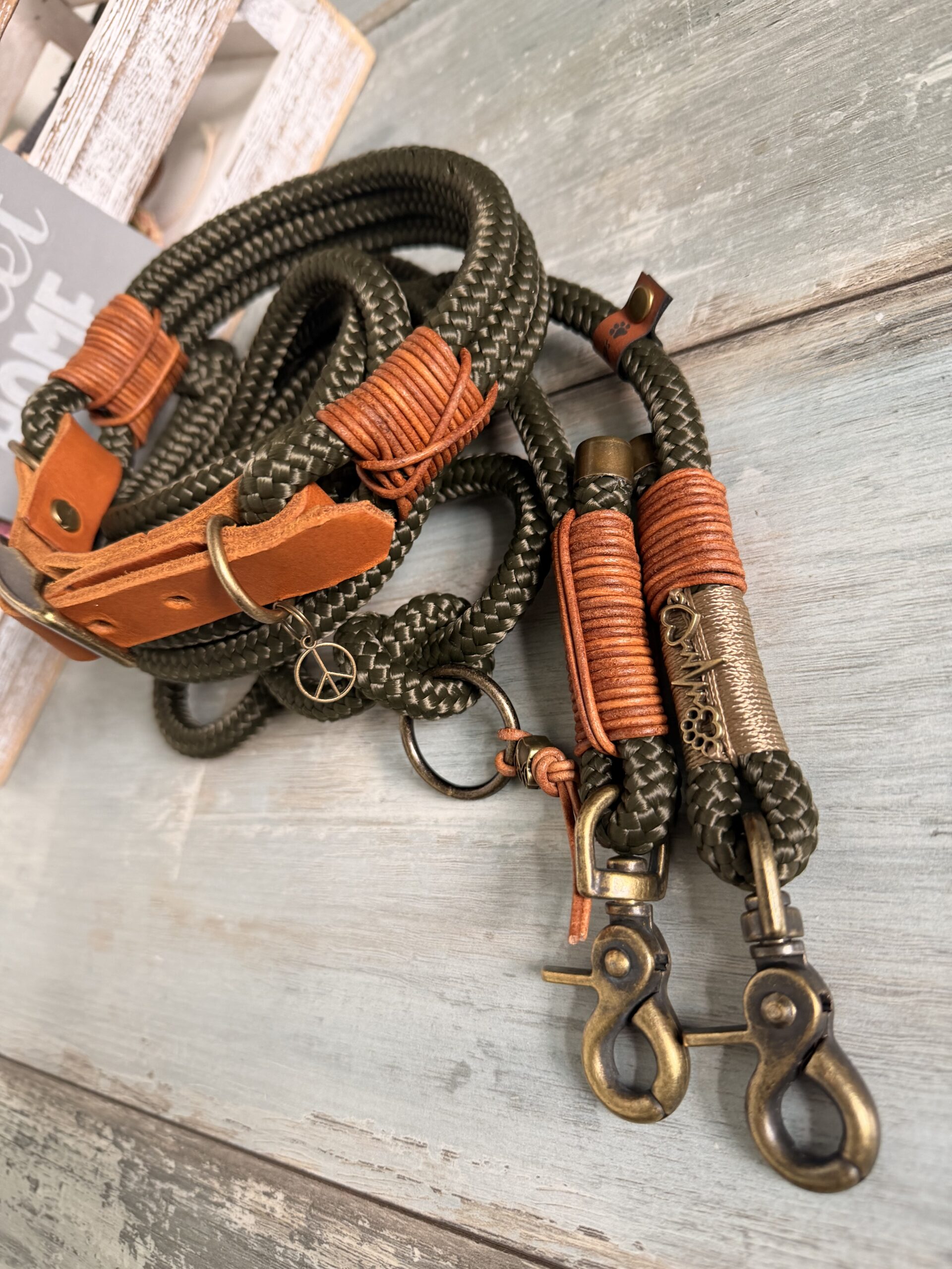 🐶 Tauleine & Tauhalsband Set – Army Green | Handgefertigt aus PPM-Seil mit Leder &Antik Messing