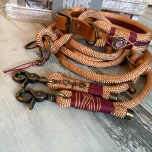 Hundeleine und Halsband Set Kupfer