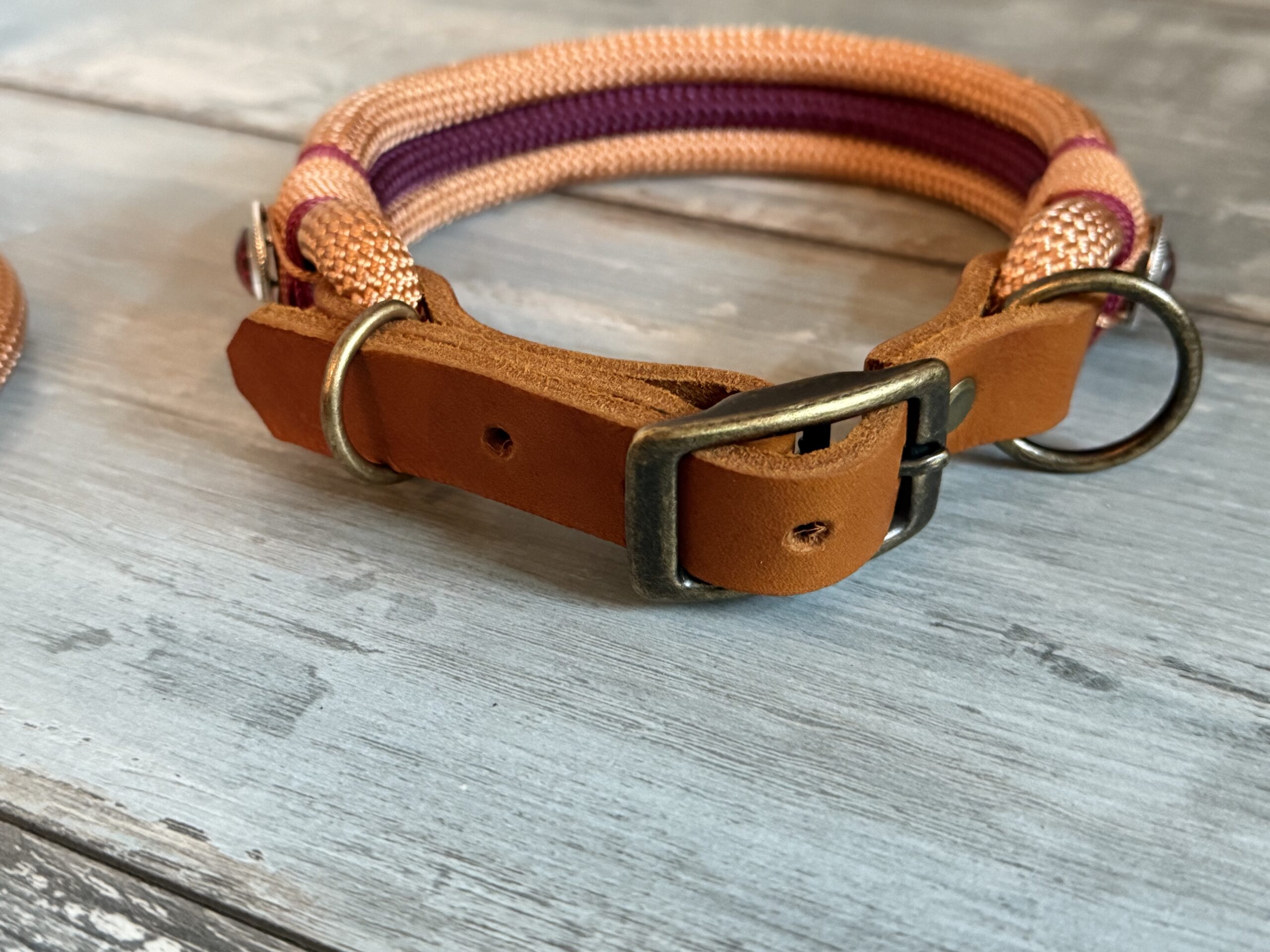 Hundeleine und Halsband Set Kupfer – Bild 9