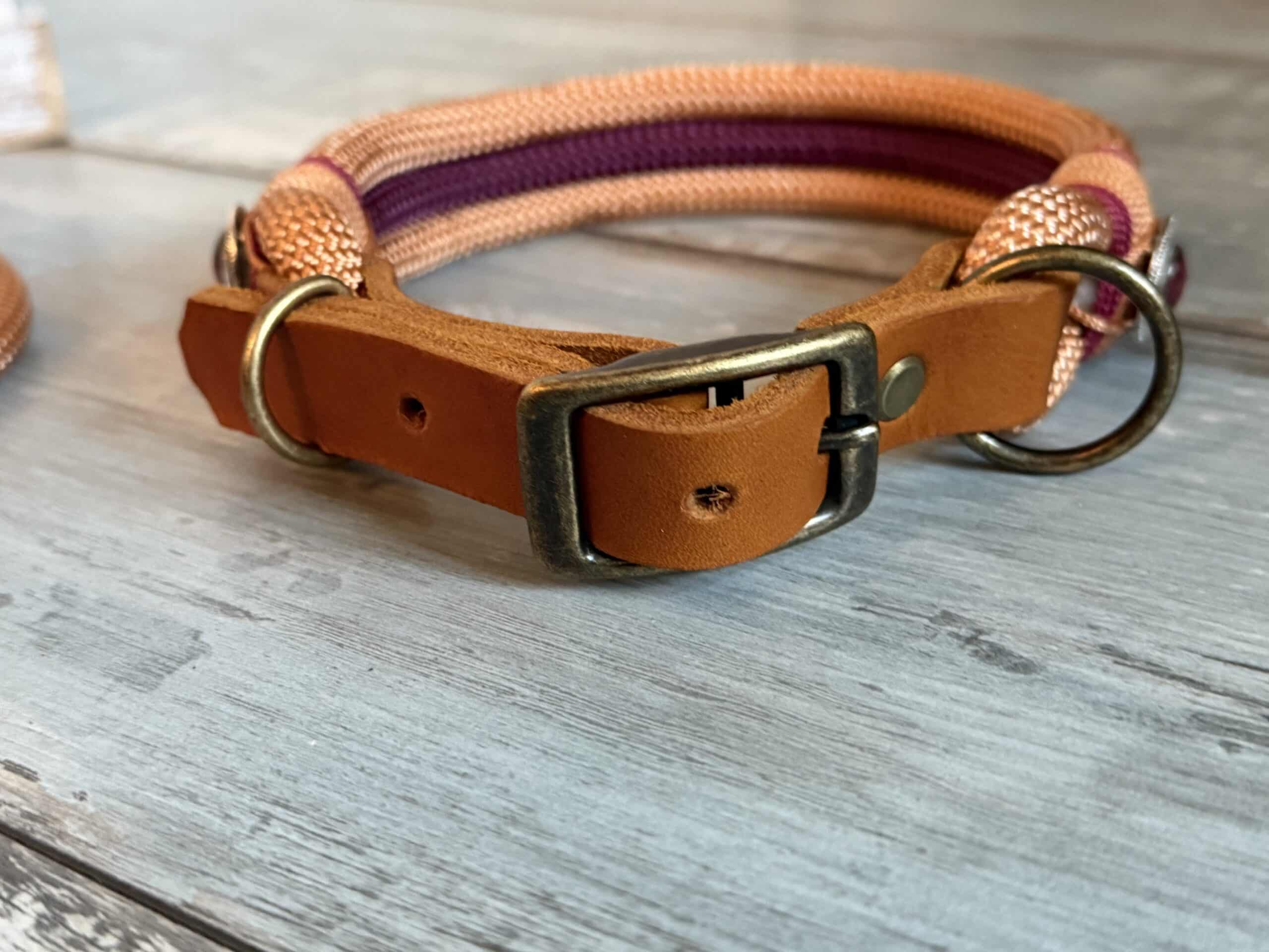 Hundeleine und Halsband Set Kupfer – Bild 8