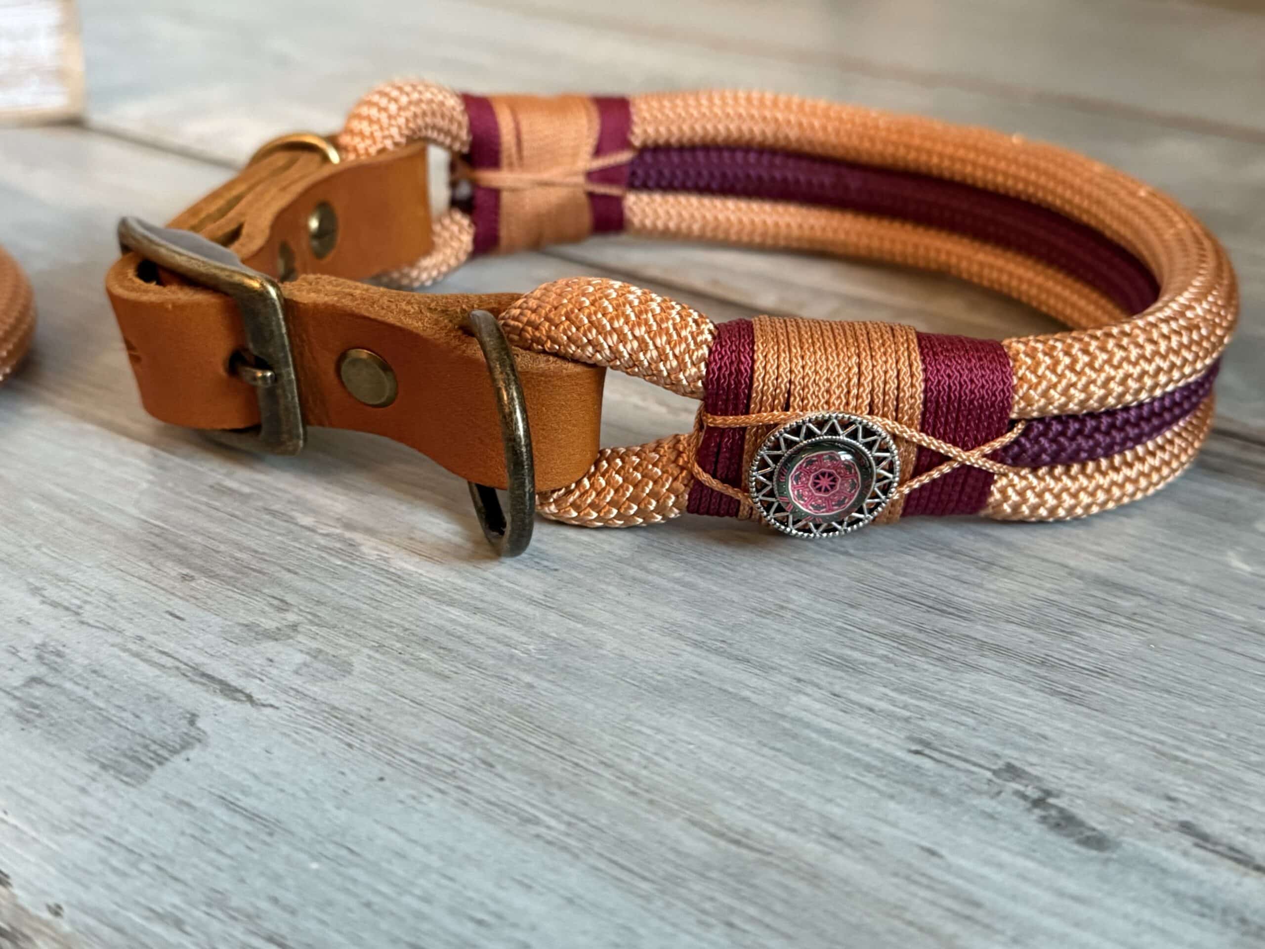 Hundeleine und Halsband Set Kupfer – Bild 7