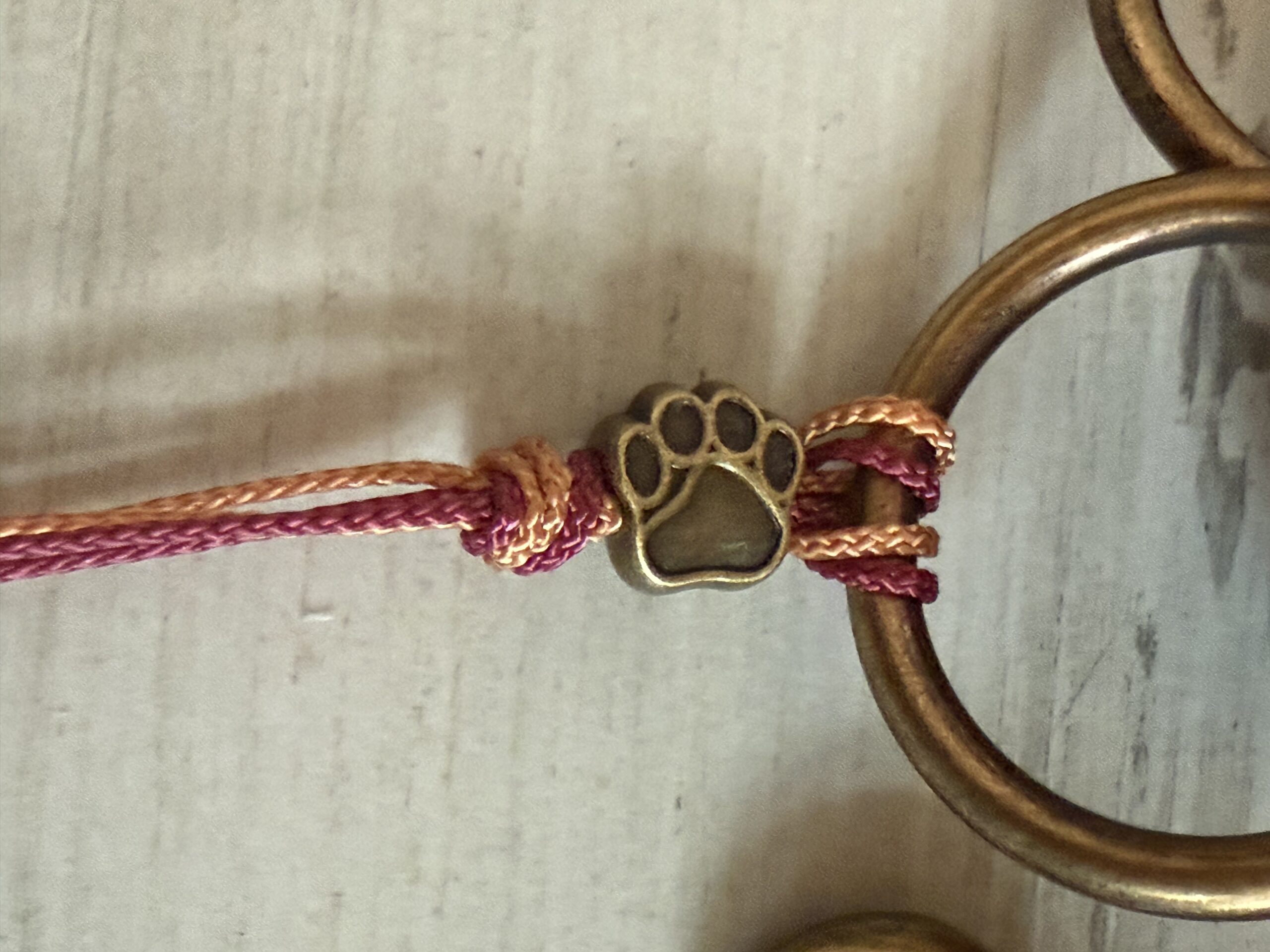 Hundeleine und Halsband Set Kupfer – Bild 10