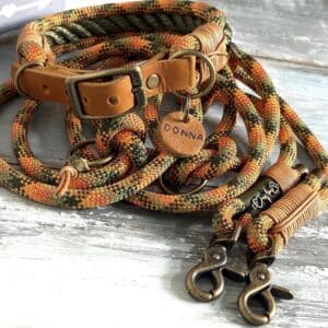 Tauleine und Halsband Oliv Orange