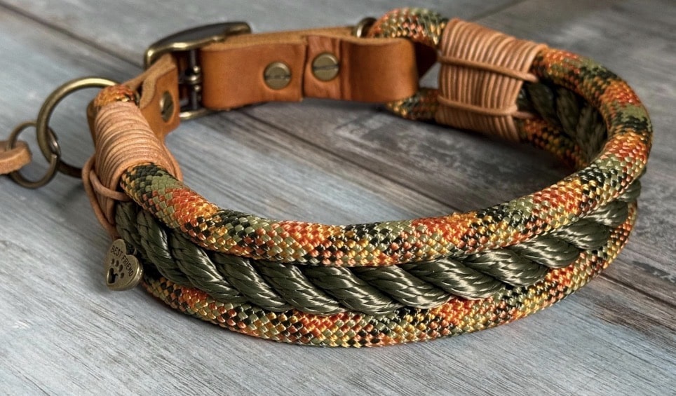 Tauleine und Halsband Oliv Orange – Bild 5