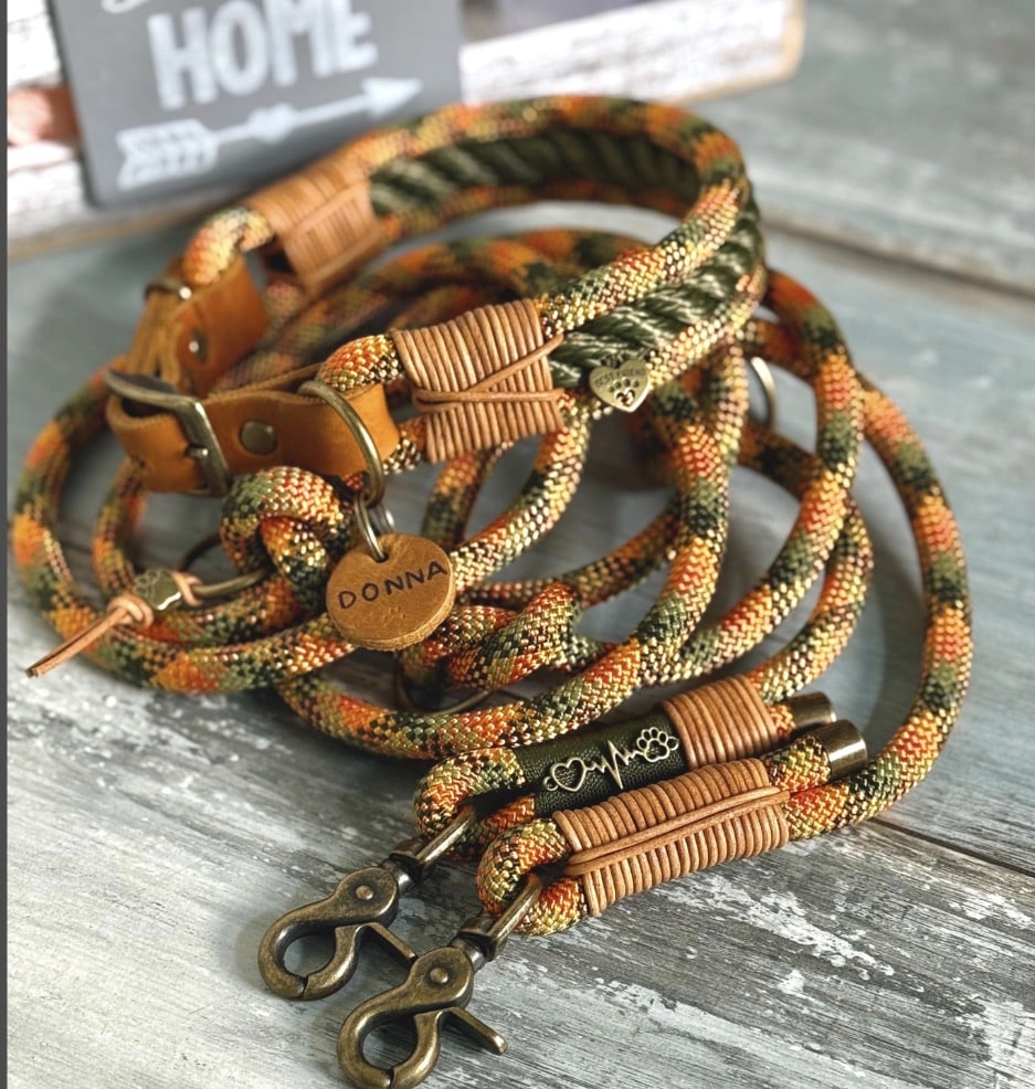Tauleine und Halsband Oliv Orange – Bild 4