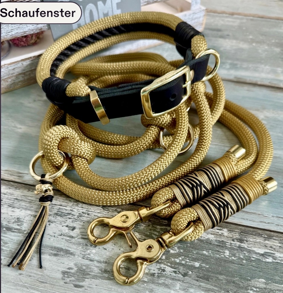 Tauleine und Halsband Set Gold Schwarz inklusive Kurzführer – Bild 3