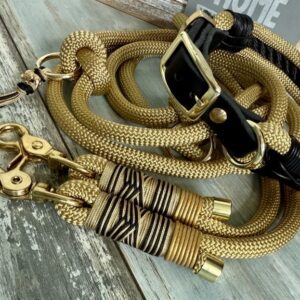 Tauleine und Halsband Set Gold  Schwarz inklusive Kurzführer