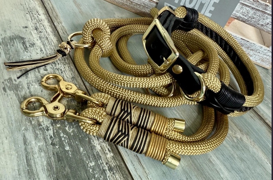 Tauleine und Halsband Set Gold Schwarz inklusive Kurzführer