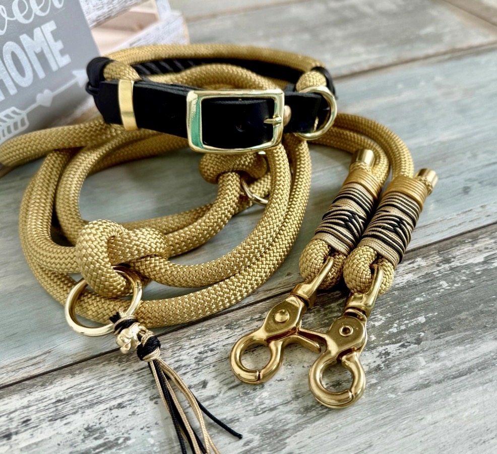 Tauleine und Halsband Set Gold Schwarz inklusive Kurzführer – Bild 2