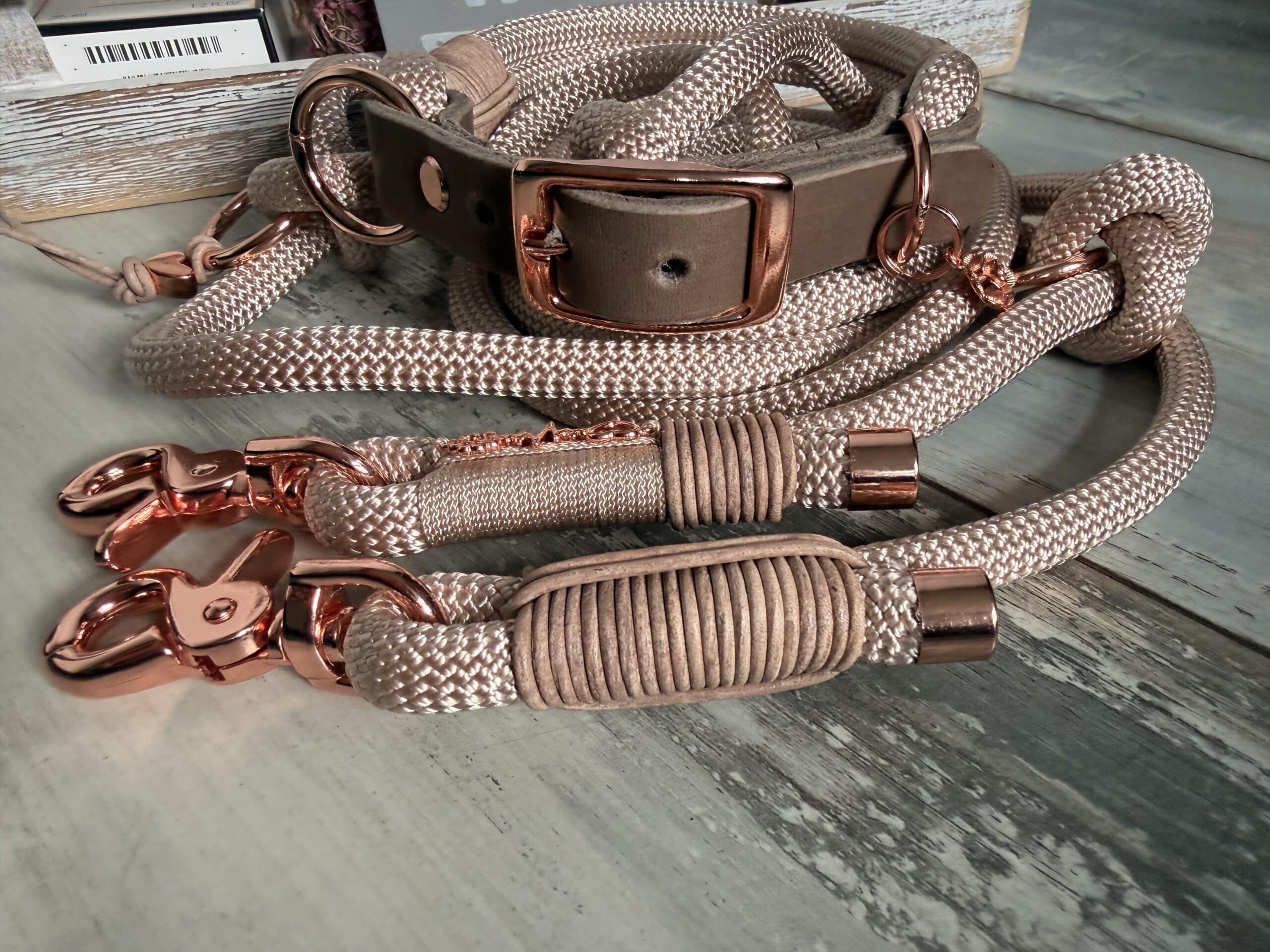 Hundeleine und Halsband Set „Ellenbogen“