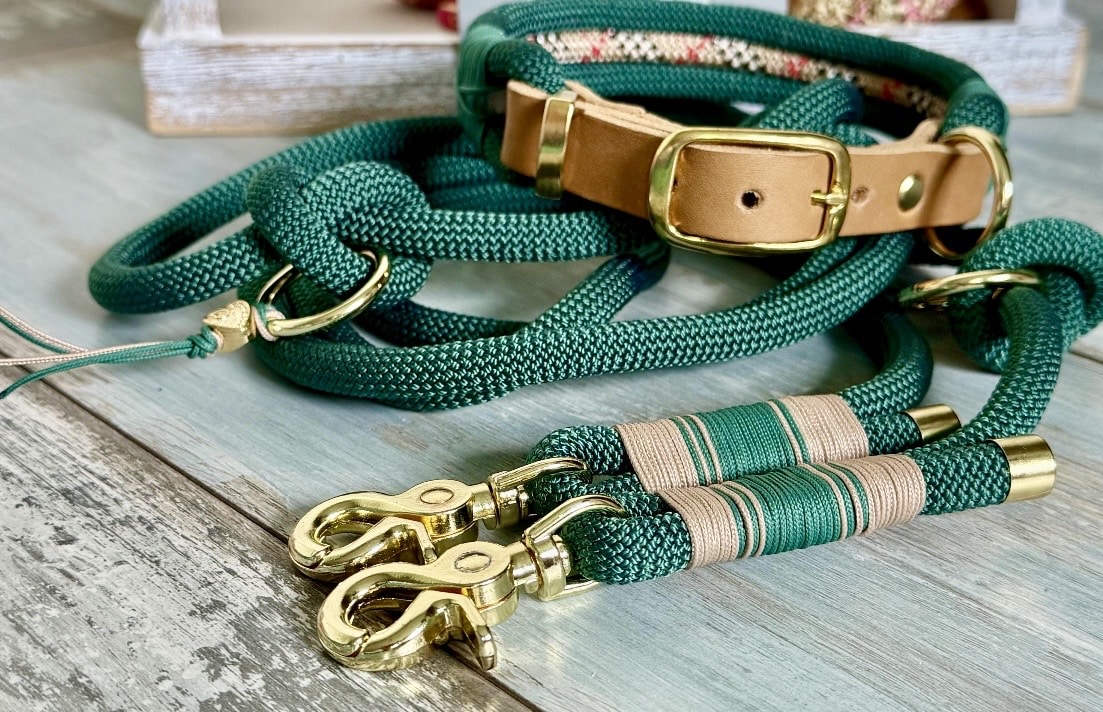Hundeleine und Halsband Set „Denghoog“ – Bild 2