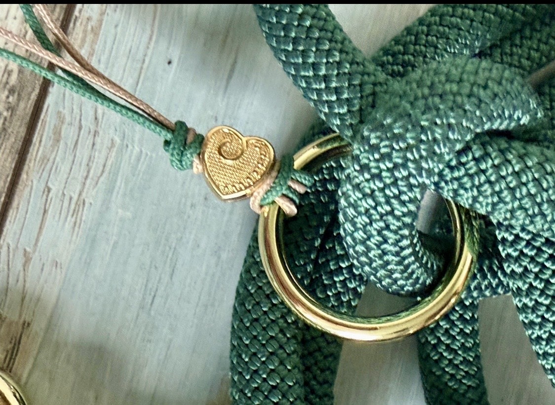 Hundeleine und Halsband Set „Denghoog“ – Bild 3
