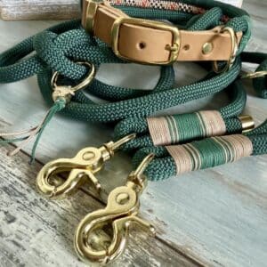 Hundeleine und Halsband Set „Denghoog“