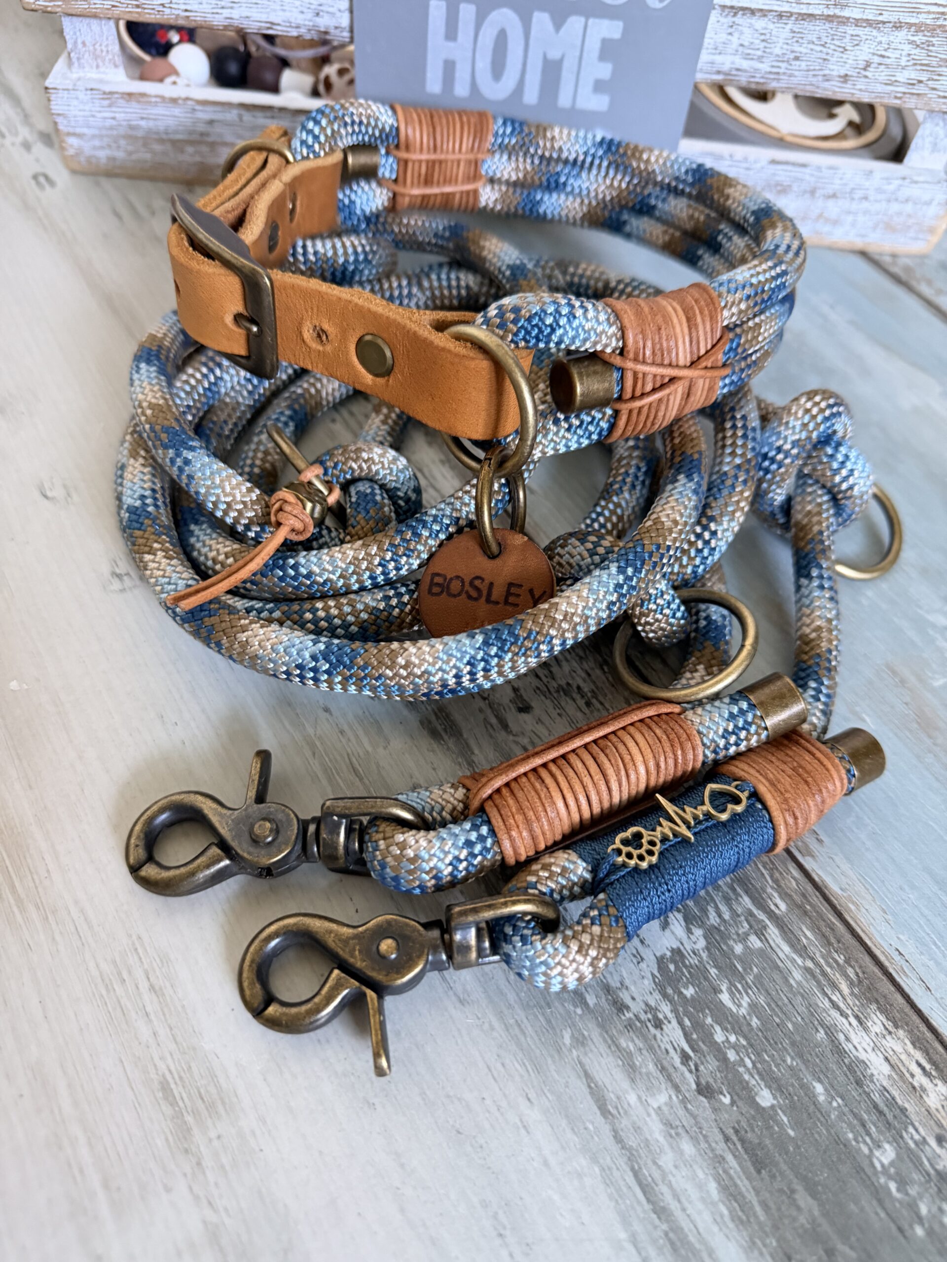 Hundeleine in Halsband Set Dünenpfote verstellbar