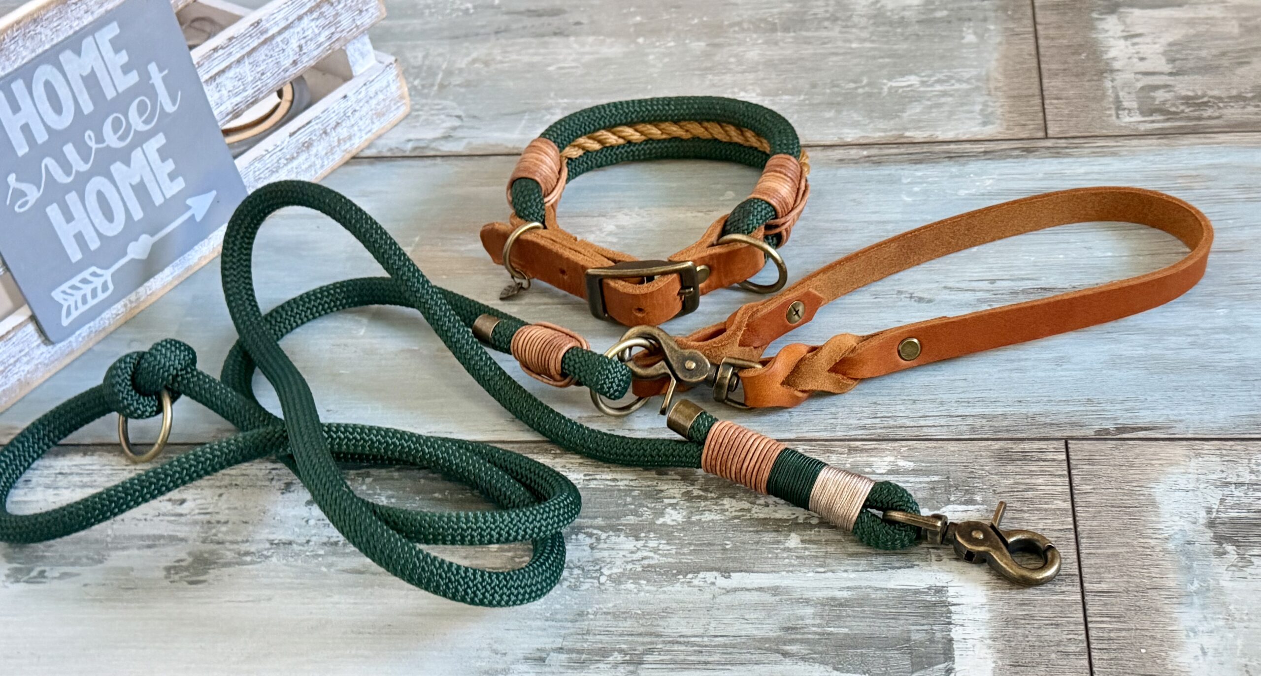 Hundeleine und Halsband Set mit Lederhandschlaufe